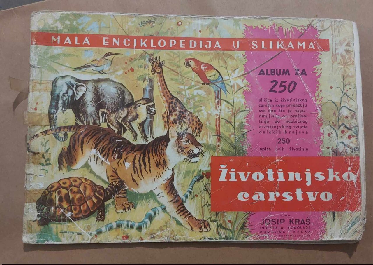 Fenomen Životinjsko carstvo Fenomen Životinjsko carstvo